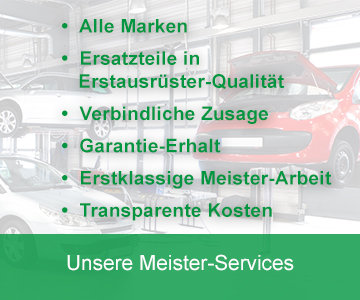 Unsere Meister-Services